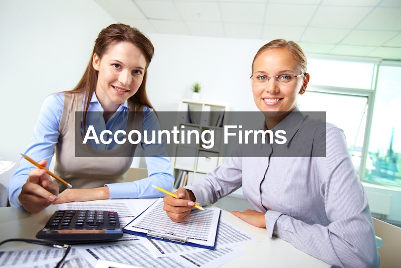 accountants